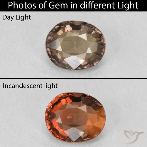 1.03ct 天然 暖棕 变色石榴石, 椭圆形, VVS