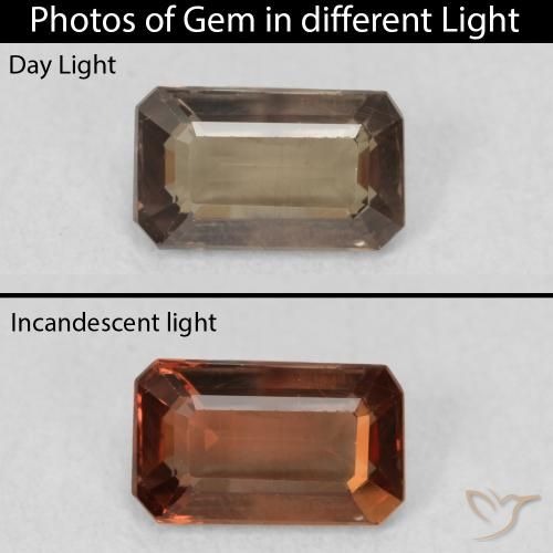 1.02ct 天然 Medium Dark-Brown 变色石榴石, 祖母绿式切割, VS