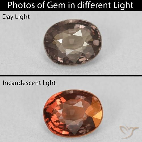 1.05ct 天然 中褐色 变色石榴石, 椭圆形, VVS