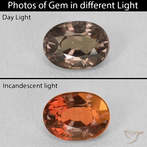 1.04ct 天然 山核桃棕 变色石榴石, 椭圆形, VVS