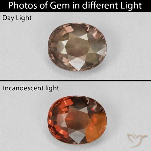 1.46ct 天然 山核桃棕 变色石榴石, 软垫, VVS-VS
