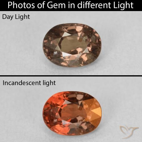 1.00ct 天然 中浅棕色 变色石榴石, 椭圆形, VS