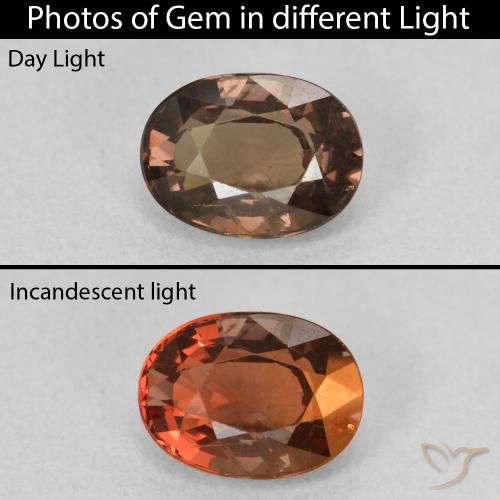 1.64ct 天然 中浅棕色 变色石榴石, 椭圆形, VS