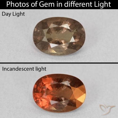 0.93ct 天然 中浅棕色 变色石榴石, 椭圆形, VS
