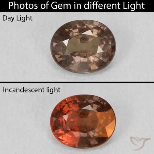 1.07ct 天然 中浅棕色 变色石榴石, 椭圆形, VS