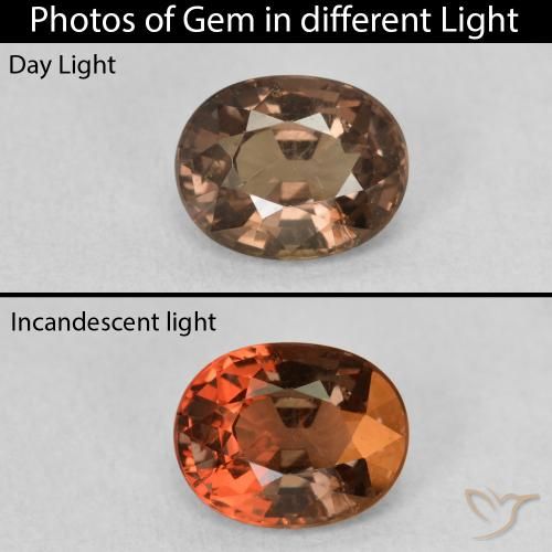 1.39ct 天然 中浅棕色 变色石榴石, 椭圆形, VS