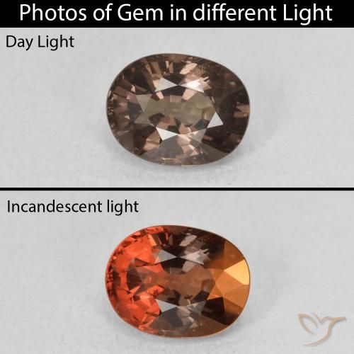 1.57ct 天然 暗棕色 变色石榴石, 椭圆形, VS