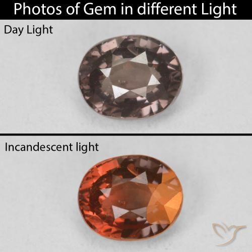 1.17ct 天然 中浅棕色 变色石榴石, 椭圆形, VS