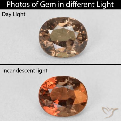0.94ct 天然 暗棕色 变色石榴石, 椭圆形, VS