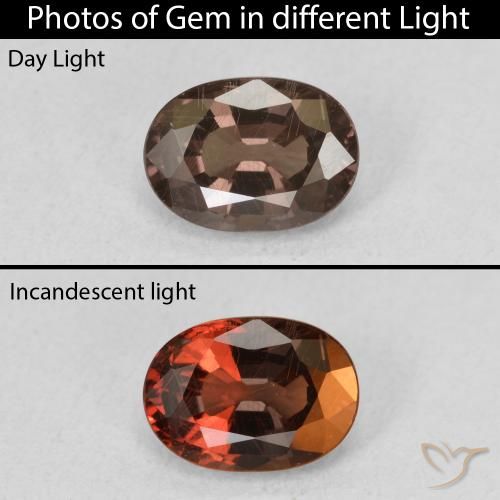 1.34ct 天然 暗棕色 变色石榴石, 椭圆形, VS