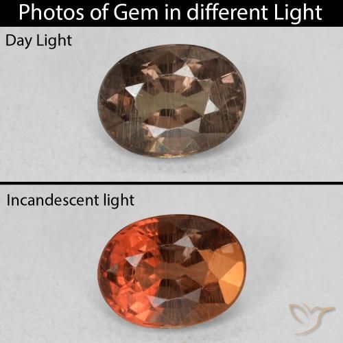0.97ct 天然 暗棕色 变色石榴石, 椭圆形, VS