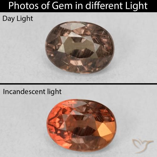 0.96ct 天然 暗棕色 变色石榴石, 椭圆形, VS