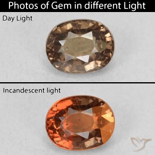 0.99ct 天然 暗棕色 变色石榴石, 椭圆形, VS