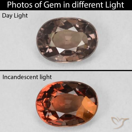 1.19ct 天然 暗棕色 变色石榴石, 椭圆形, VVS-VS