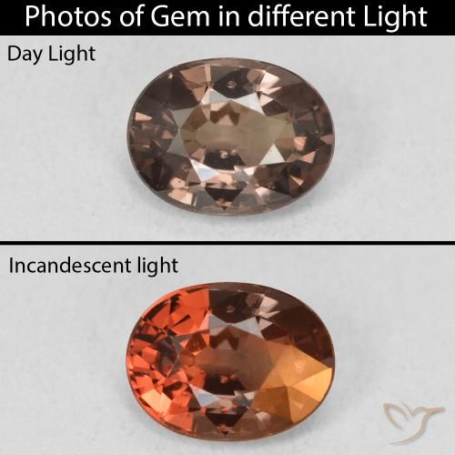 1.21ct 天然 暗棕色 变色石榴石, 椭圆形, VVS-VS