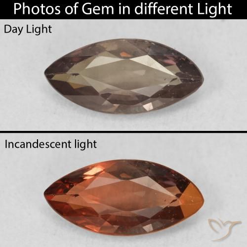 1.03ct 天然 暗棕色 变色石榴石, 榄尖形, VVS-VS