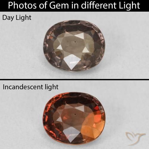 1.30ct 天然 暗棕色 变色石榴石, 椭圆形, VVS-VS