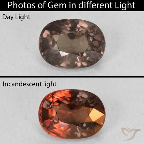 1.47ct 天然 暗棕色 变色石榴石, 椭圆形, VVS-VS