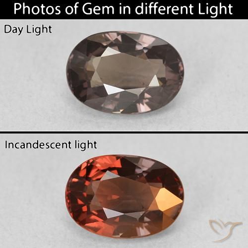 1.50ct 天然 暗棕色 变色石榴石, 椭圆形, VVS-VS