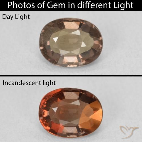 1.32ct 天然 暗棕色 变色石榴石, 椭圆形, VVS-VS