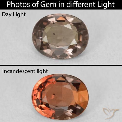 1.02ct 天然 暗棕色 变色石榴石, 椭圆形, VVS-VS