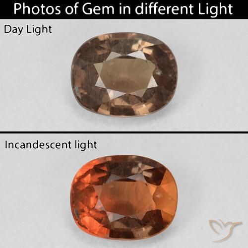 1.50ct 天然 暗棕色 变色石榴石, 软垫, VS