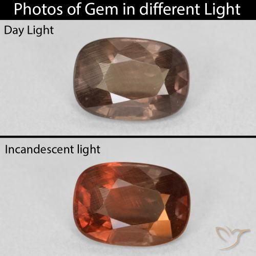 1.50ct 天然 暗棕色 变色石榴石, 软垫, VS