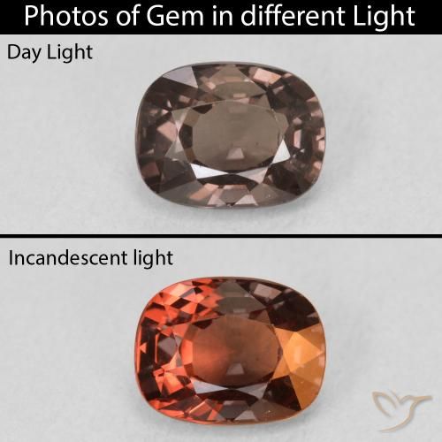 1.47ct 天然 暗棕色 变色石榴石, 软垫, VS