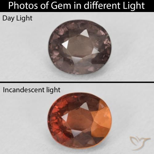1.50ct 天然 中浅棕色 变色石榴石, 椭圆形, VS