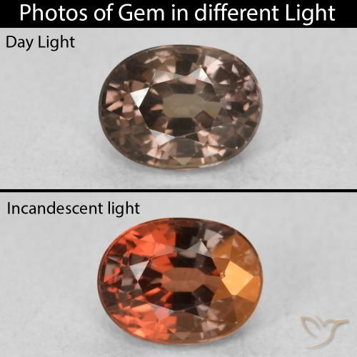 0.98ct 天然 暗棕色 变色石榴石, 椭圆形, VVS