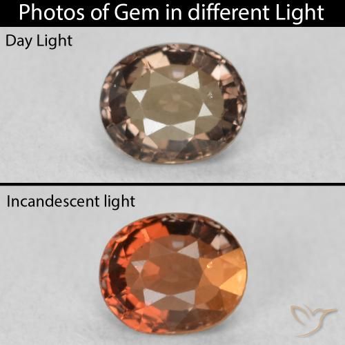 0.80ct 天然 暗棕色 变色石榴石, 椭圆形, VVS