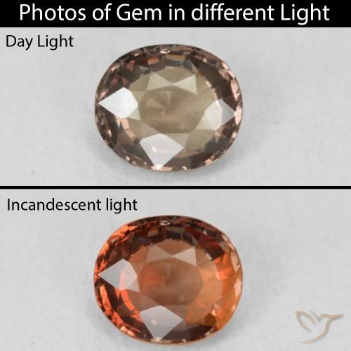 1.16ct 天然 暗棕色 变色石榴石, 椭圆形, VVS