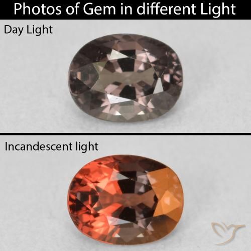 0.92ct 天然 山核桃棕 变色石榴石, 椭圆形, VVS