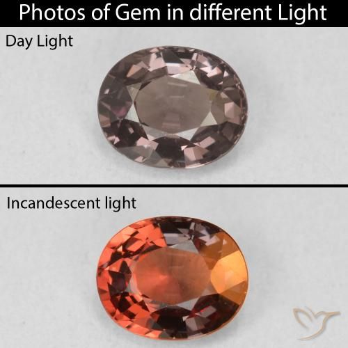 1.03ct 天然 山核桃棕 变色石榴石, 椭圆形, VVS