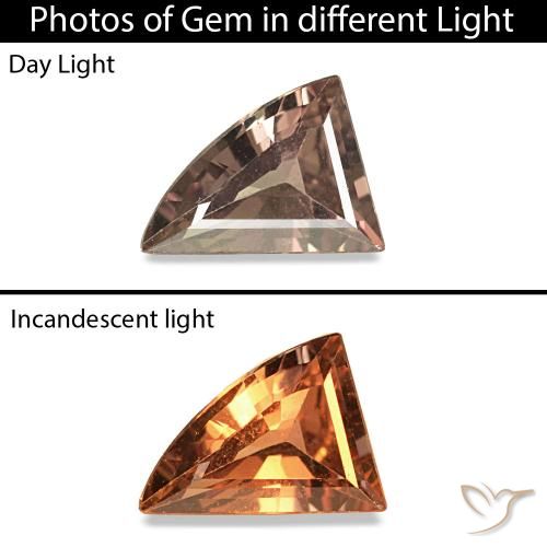 0.30ct 暗棕色 变色蓝宝石, 花式切割, VVS-VS