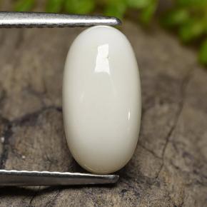 2.47克拉天然珊瑚，椭圆形切割，不透明