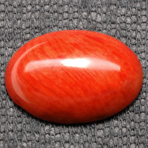 7.43克拉天然橙色珊瑚，椭圆形切割，17.8×12.9毫米，不透明