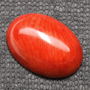 7.43克拉天然橙色珊瑚，椭圆形切割，17.8×12.9毫米，不透明
