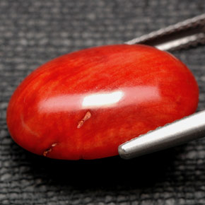 9.84克拉天然珊瑚，椭圆形切割，不透明