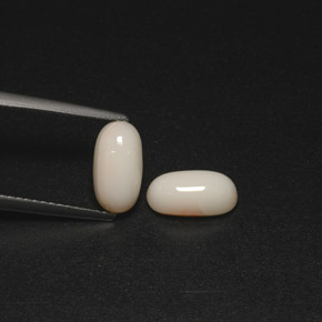 天然白色珊瑚，椭圆形切割，9.5×4.9毫米，不透明