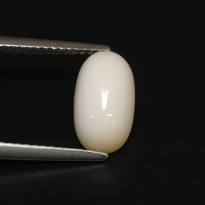 2.81克拉天然白色珊瑚，椭圆形切割，11.1×6.3毫米，不透明