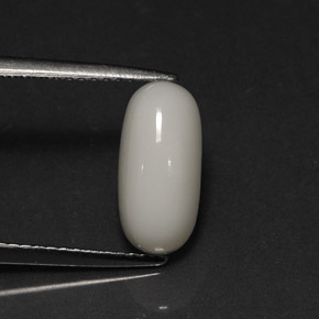 2.73克拉天然白色珊瑚，椭圆形切割，11.9×5.7毫米，不透明