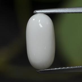 2.63克拉天然白色珊瑚，椭圆形切割，11.7×6毫米，不透明