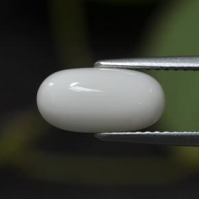 2.63克拉天然白色珊瑚，椭圆形切割，11.7×6毫米，不透明