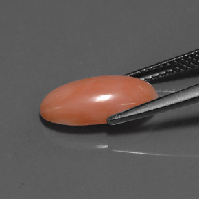 2.52克拉天然珊瑚，椭圆形切割，不透明