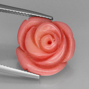 12.20克拉天然珊瑚，异形，不透明