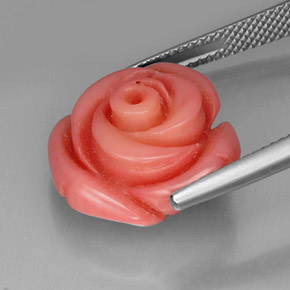 12.20克拉天然珊瑚，异形，不透明