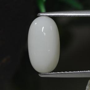 2.30克拉天然白色珊瑚，椭圆形切割，11.8×6.6毫米，不透明