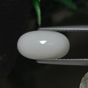 2.30克拉天然白色珊瑚，椭圆形切割，11.8×6.6毫米，不透明