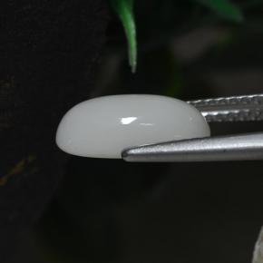 2.30克拉天然白色珊瑚，椭圆形切割，11.8×6.6毫米，不透明